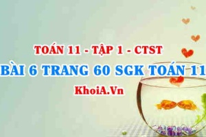 Bài 6 trang 60 SGK Toán 11 Tập 1 Chân trời sáng tạo